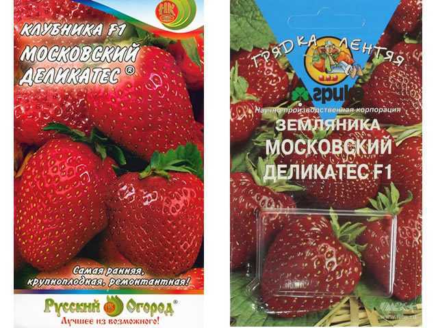 Клубника сорт московский деликатес - описание, посадка, уход, отзывы