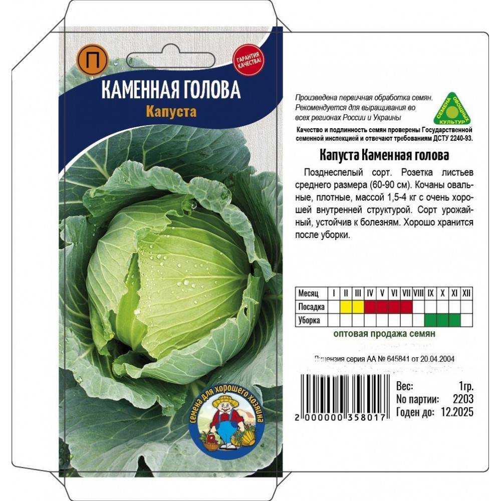Капуста сорта харьковская зимняя: описание и характеристика, особенности выращивания и ухода за капустой, фото