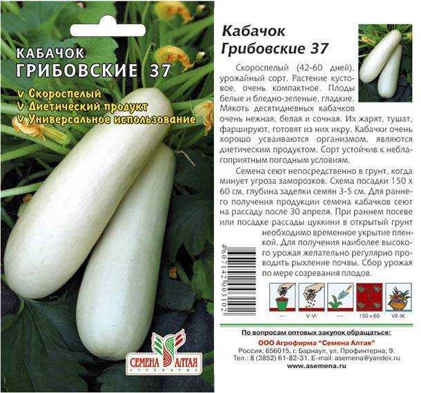 8 хитростей для большого урожая кабачков. посадка, подкормки, полив, сбор урожая. фото — ботаничка