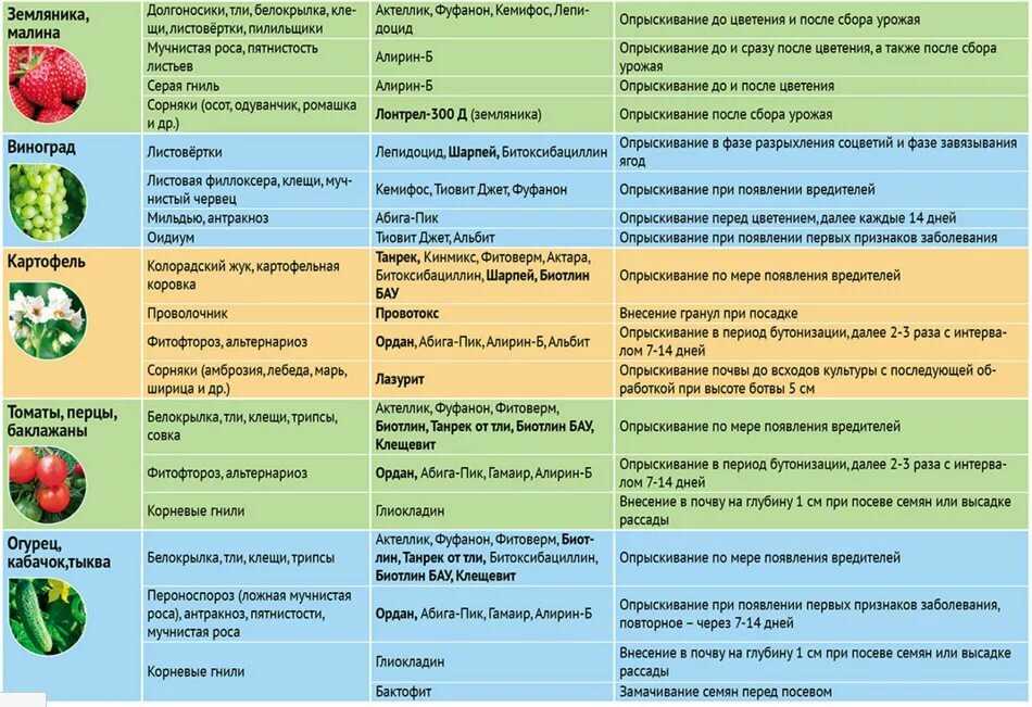 Что делать, если вишня не плодоносит?