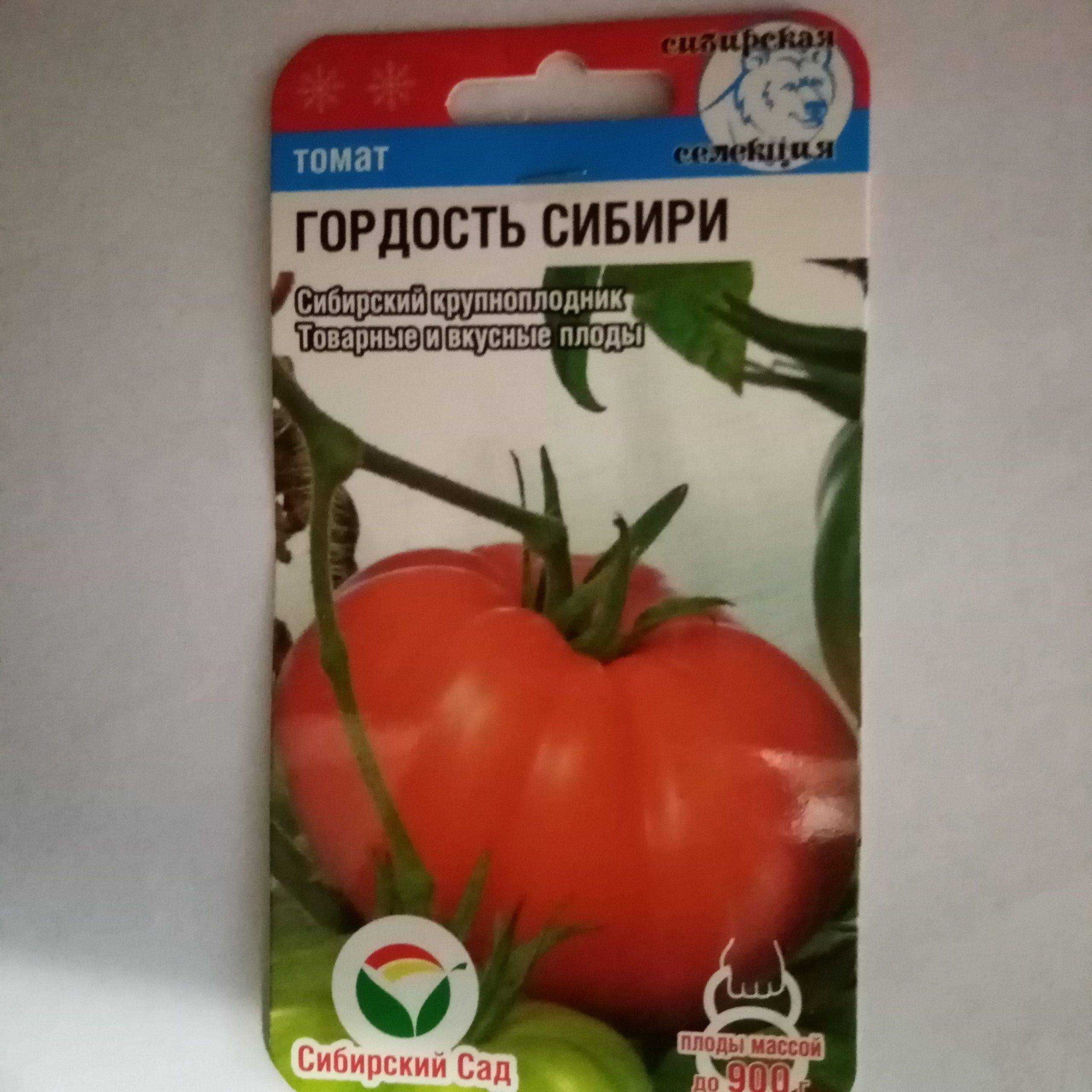 Томат гордость сибири: характеристика и описание сорта