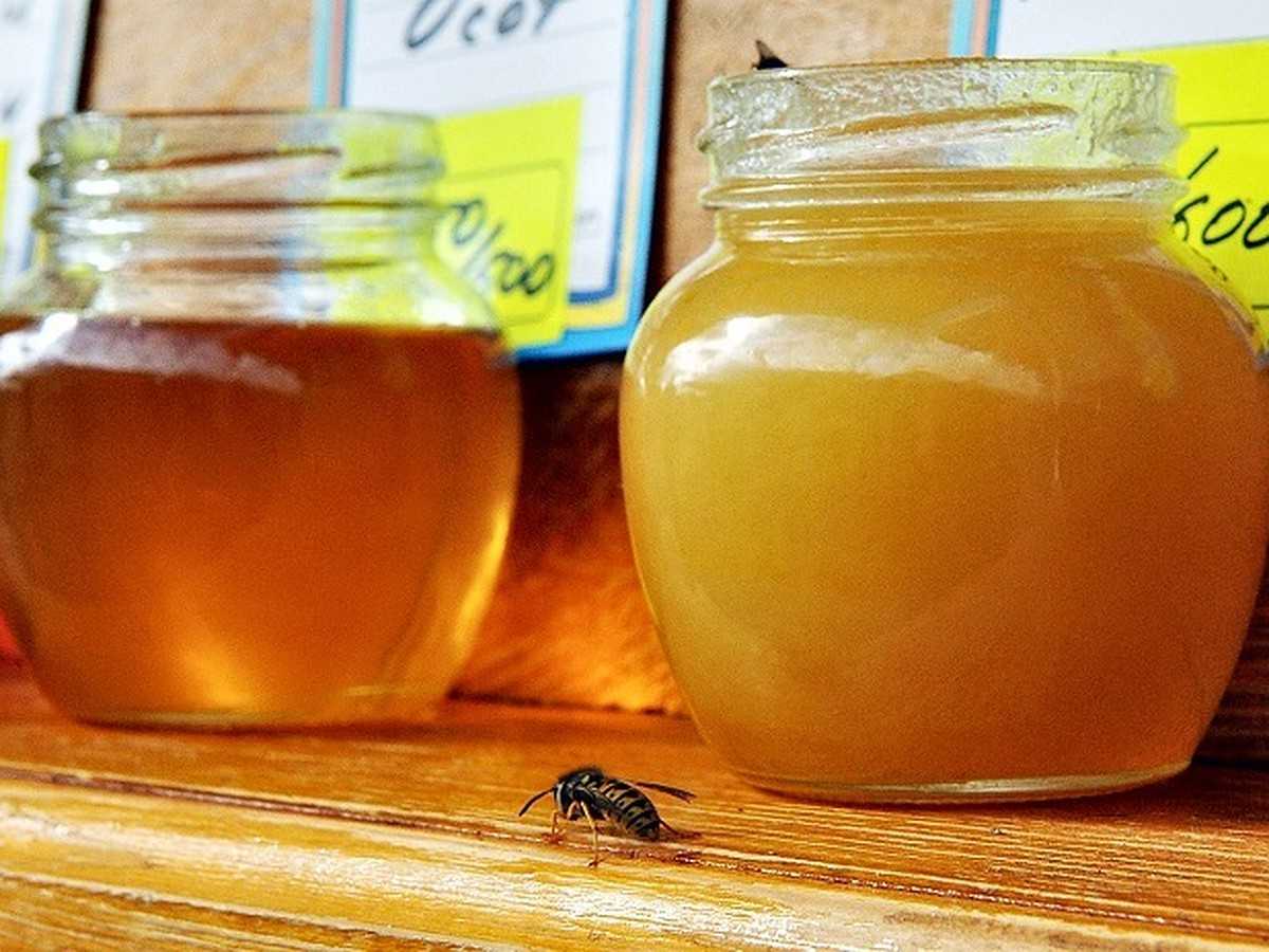✅ должен ли мед растворяться в холодной воде - питомник46.рф