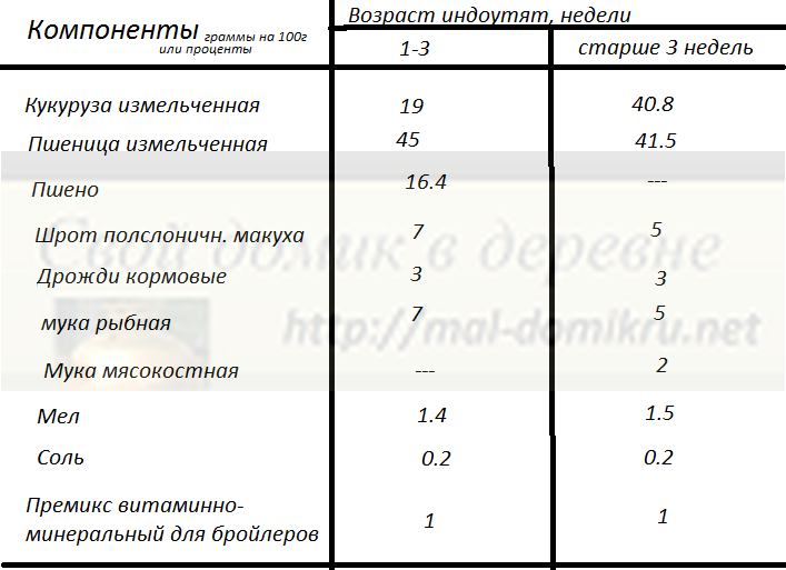 Кормление домашних уток