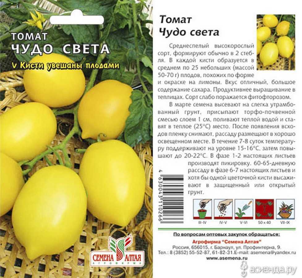 Томат розовое чудо: описание, выращивание, уход и фото