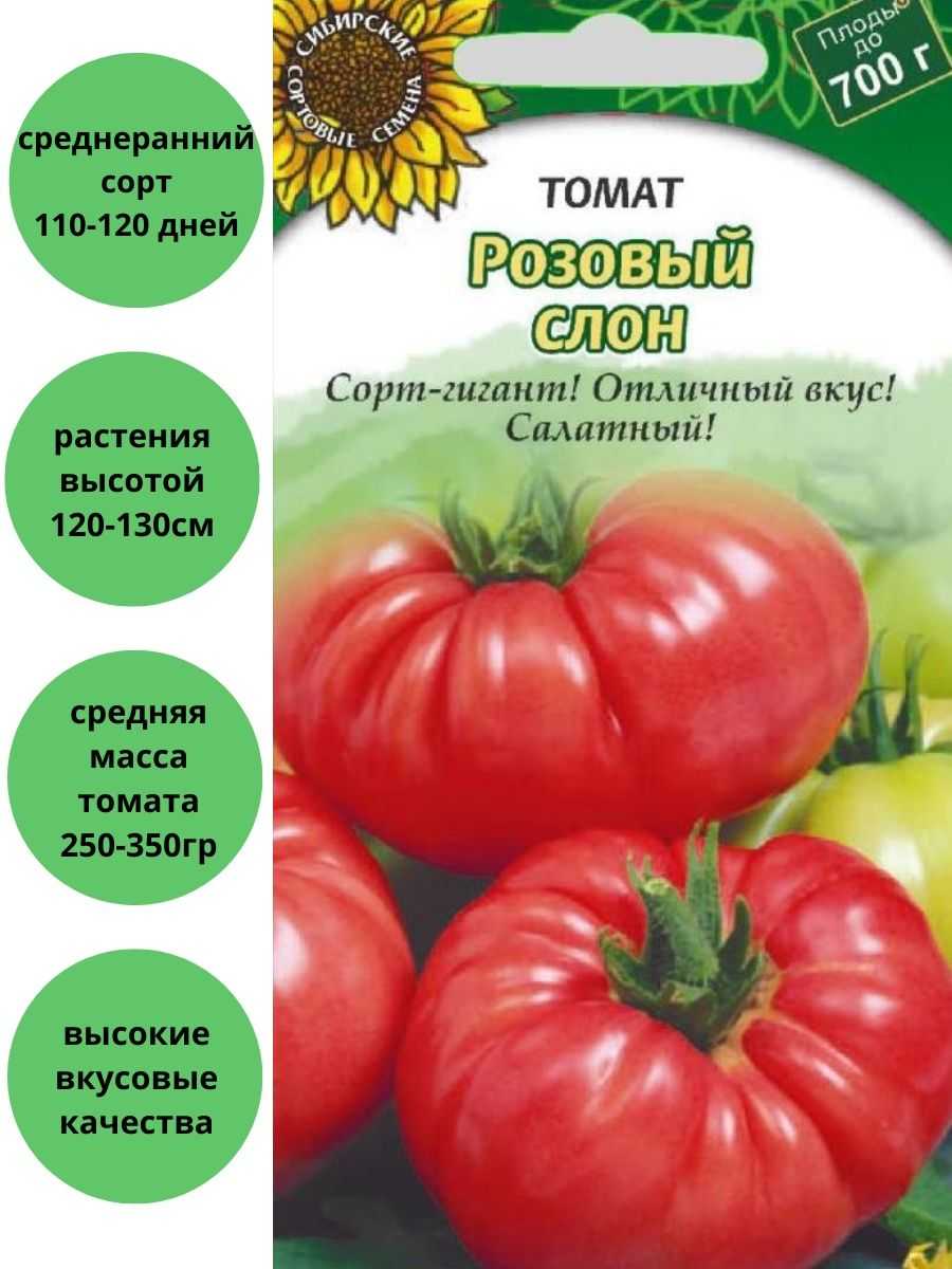 Помидоры "розовый слон": ключевые характеристики томатов этого сорта и их описание