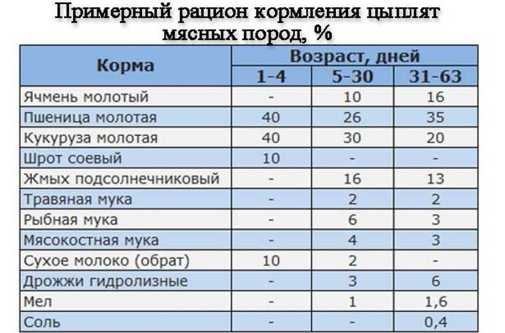 Трава для кур: какую можно давать, а какую нет