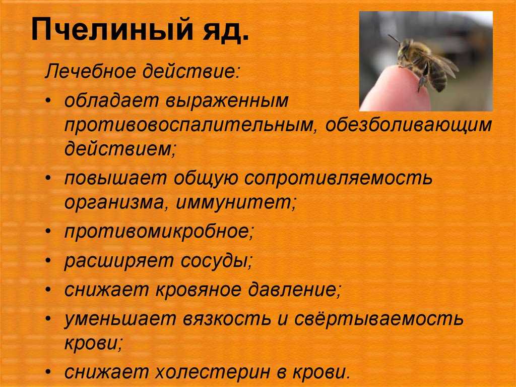 Укус пчелы: польза и вред, первая помощь, лечение пчелиным ядом