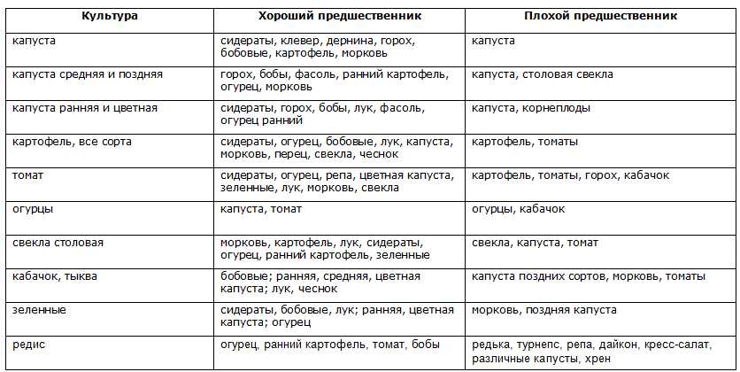 Пять способов севооборота для дачного участка