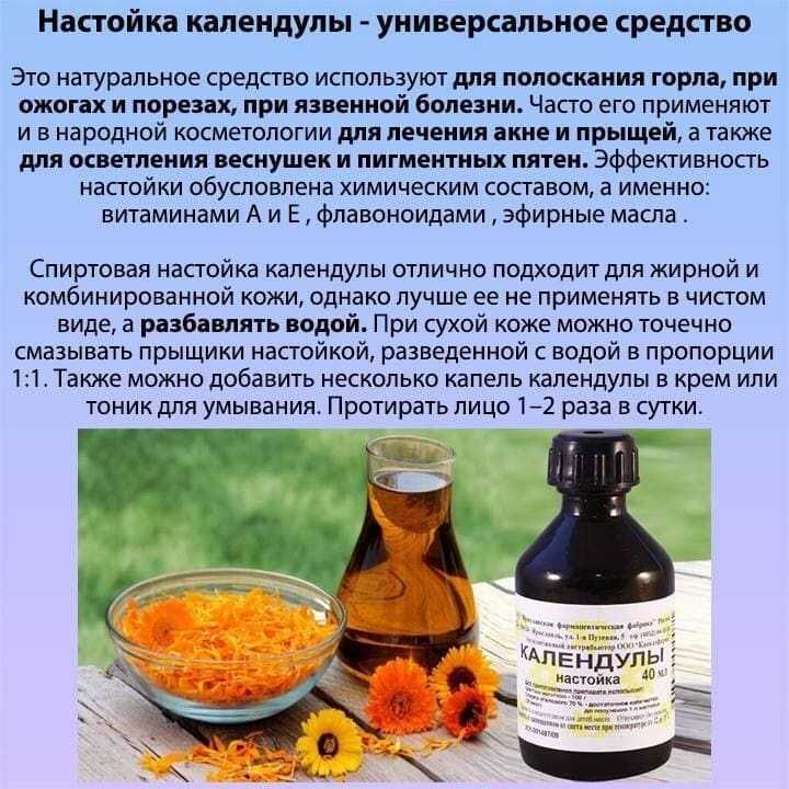 Календула: лечебные свойства для организма | food and health