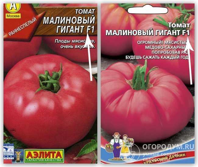 Томат розовый гигант