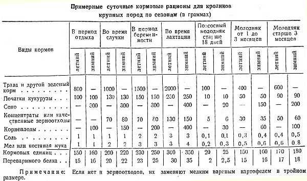 Кормление кроликов: таблицы рецептов, особенности и нормы
