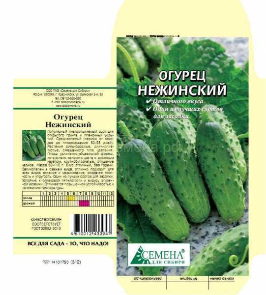 Огурцы нежинские: описание сорта, посадка, уход, фото, отзывы