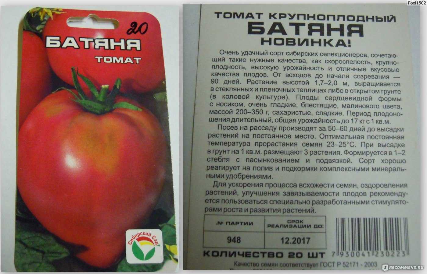 Характерные особенности сорта «палка», которые понравятся каждому дачнику