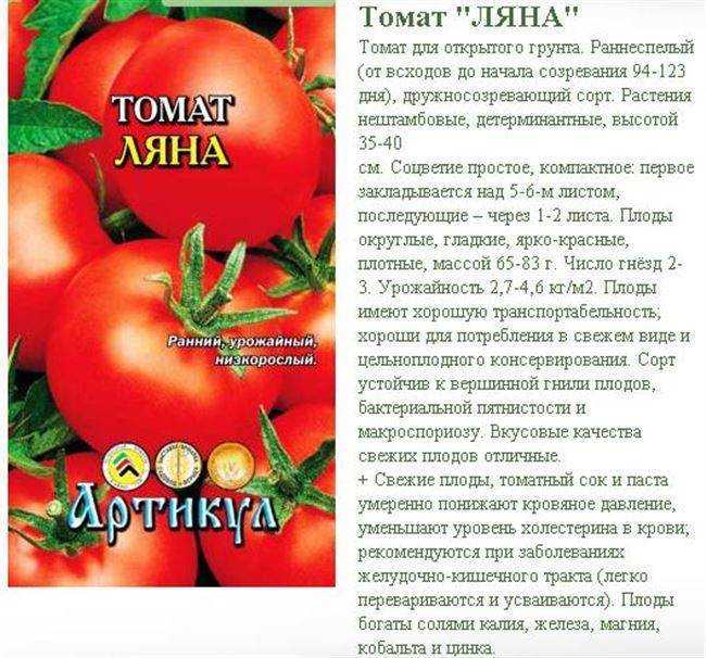 Томат бизнес леди: описание и характеристика сорта, отзывы, фото