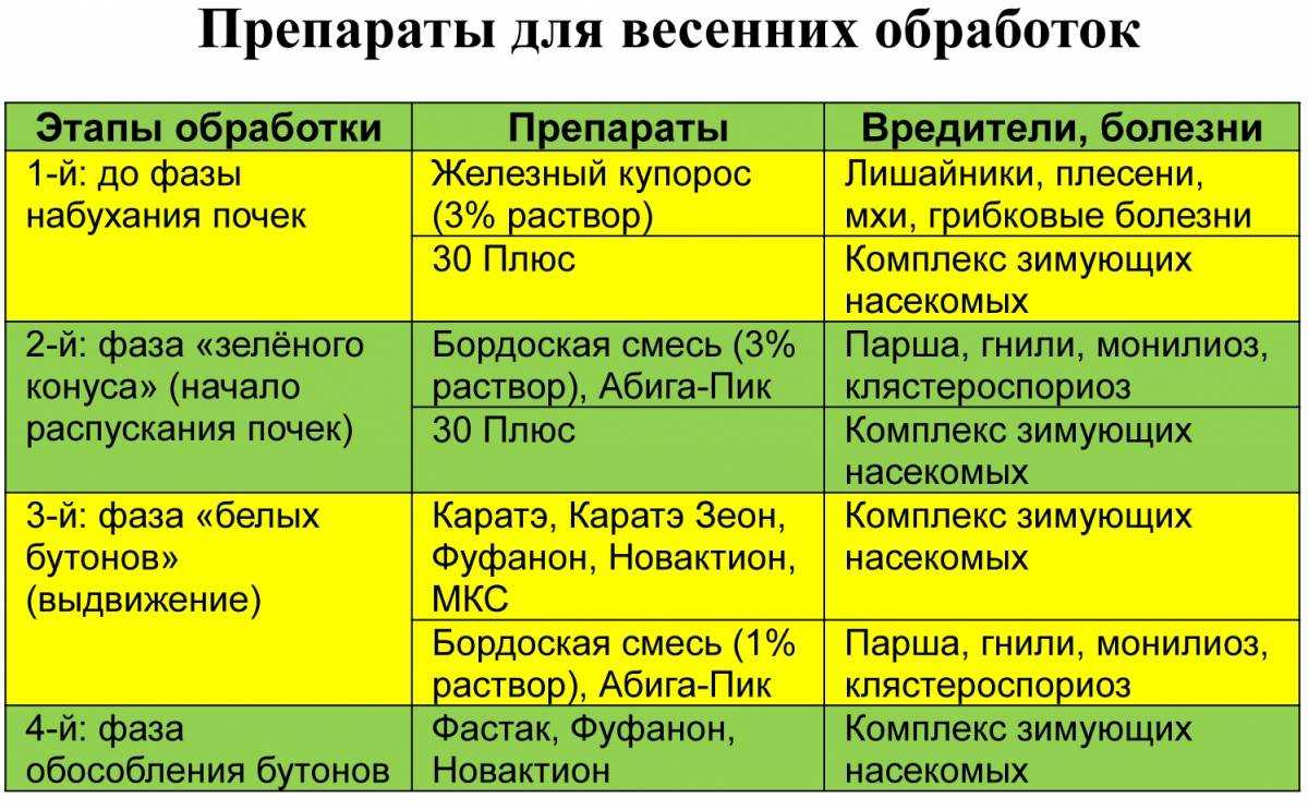 Удобряем плодовые деревья - виды и варианты