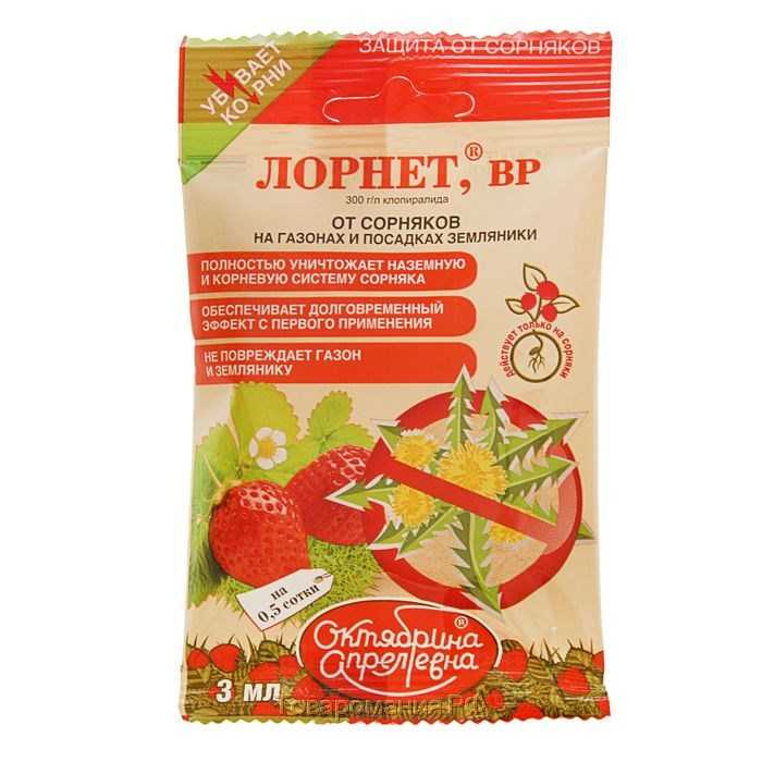 Обработка клубники от болезней и вредителей, когда лучше проводить и как правильно делать, а также описание лучших способов