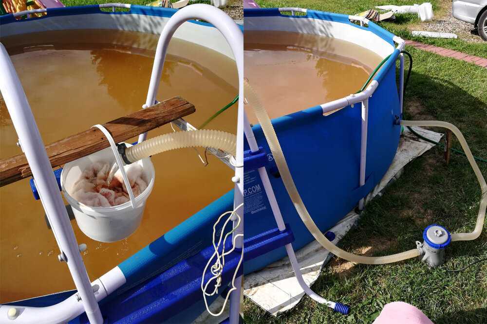 Опасна ли для растений водопроводная вода? фото — ботаничка