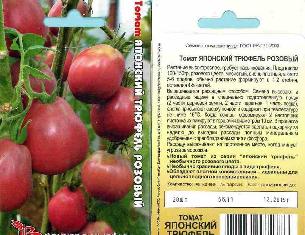 Томат японский трюфель: характеристика и описание сорта, выращивание, отзывы и фото