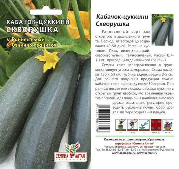 Все о сорте кабачков Скворушка: описание, как выглядит растение, выращивание