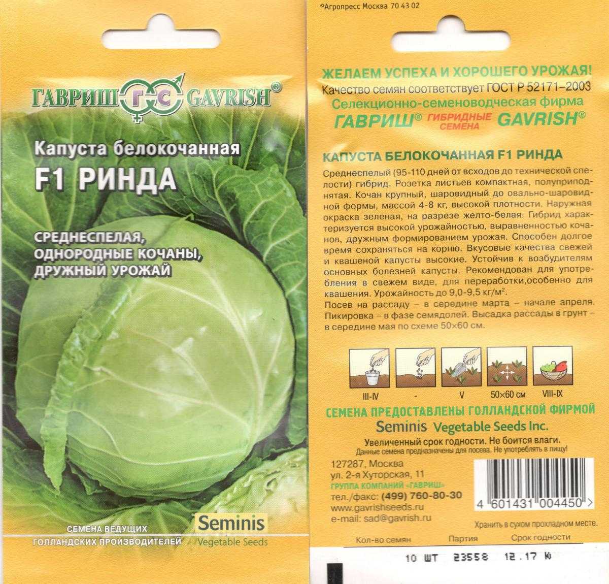 Всё о капусте ринда - описание сорта, посадка, уход и другие нюансы + фото
