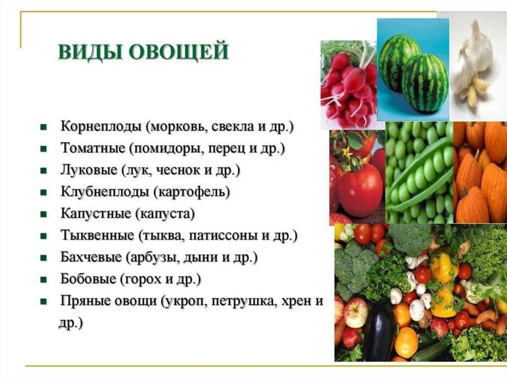 Тыква сорта лечебная: особенности выращивания, характеристики, свойства