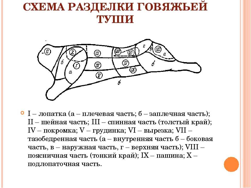 Как и когда зарезать свинью в домашних условиях: все способы