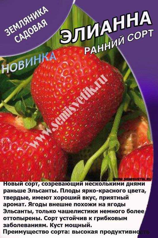 Обзор голландского сорта клубники эльсанта, описание, посадка, уход
обзор голландского сорта клубники эльсанта, описание, посадка, уход