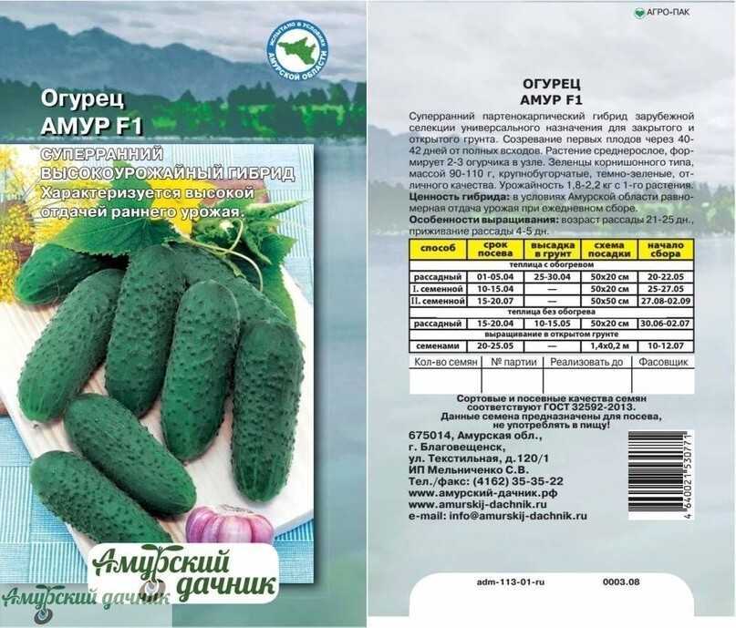 Лучшие засолочные огурцы для открытого грунта и теплиц: выбираем лучшие сорта и гибриды огурцов