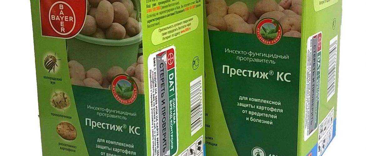 Обработка картофеля перед посадкой от колорадского жука