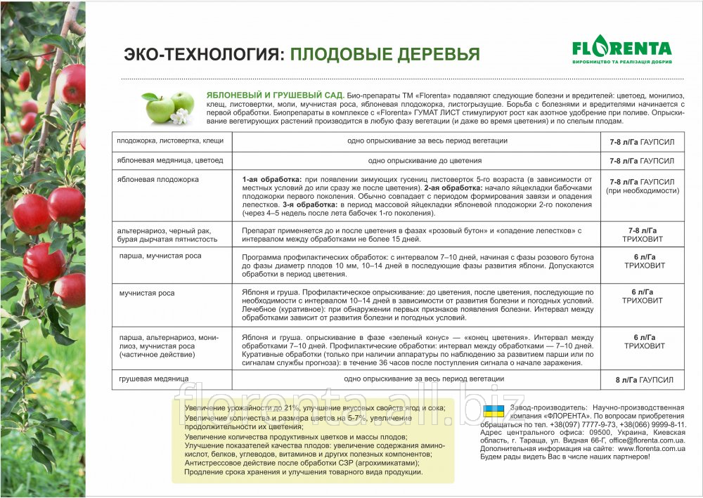 Все о периоде вегетации у плодовых деревьев: что это, описание, характеристики