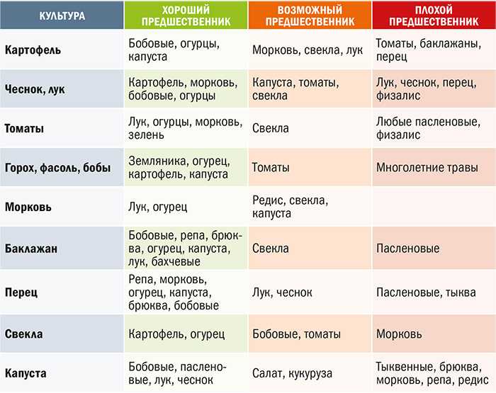 Лук и морковь: сажаем севок и сеем под зиму, подробный мастер-класс и фото