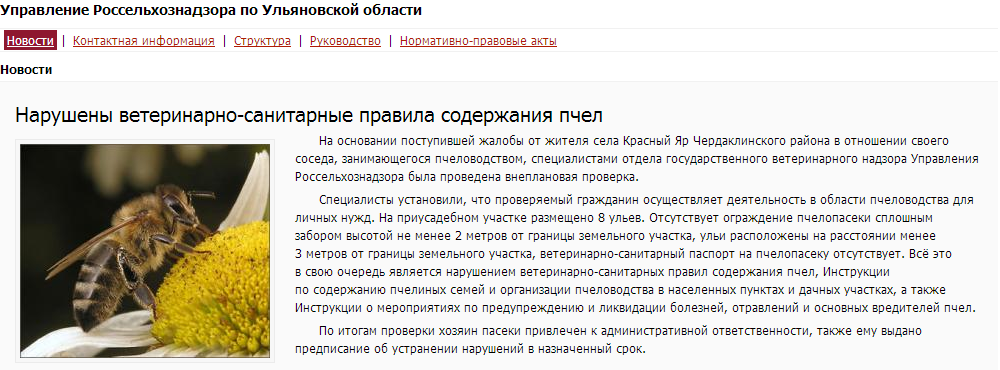 Разведение пчел в домашних условиях для начинающих, с чего начать?