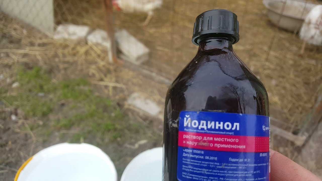 Йодинол для кур-несушек: дозировка, особенности применения