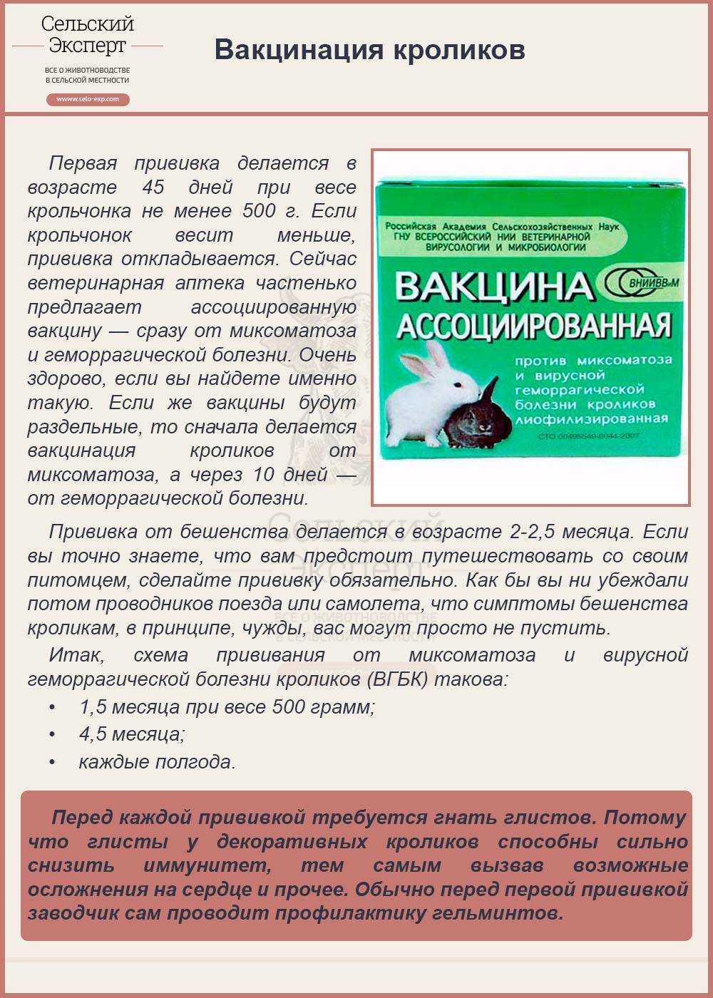 Комплексная прививка для кроликов