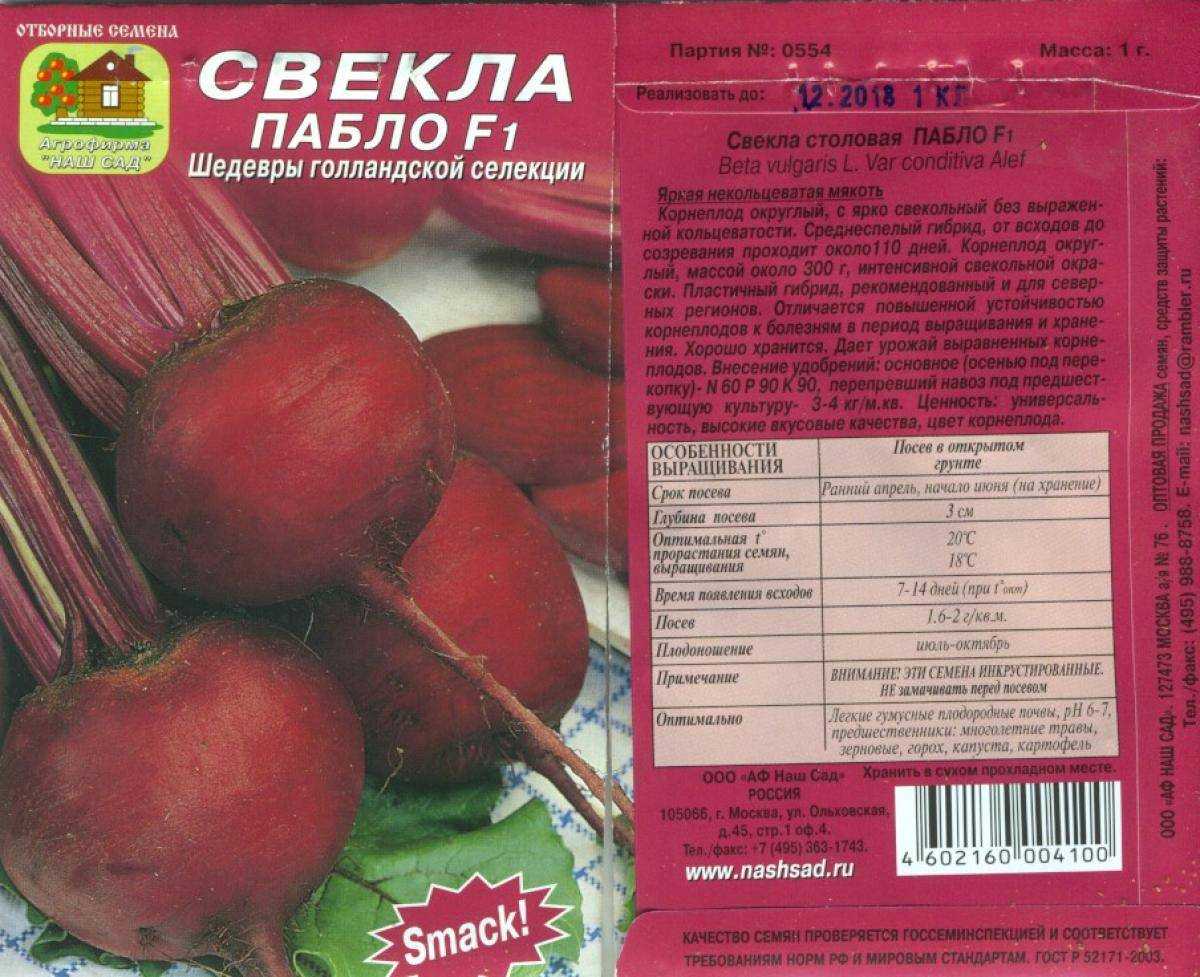 Лучшие сорта свеклы (31 фото) - названия и описания