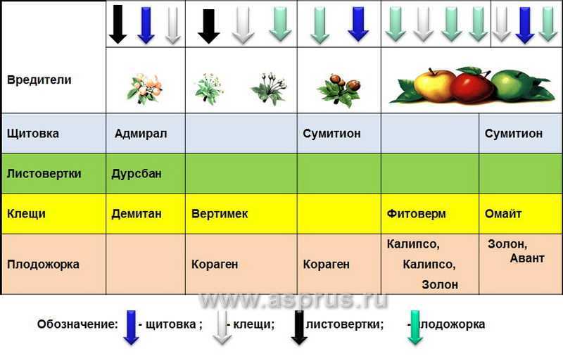 Чем обработать сад ранней весной от болезней и вредителей