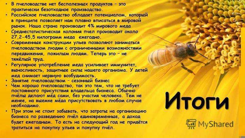 Работы на пасеке в сентябре