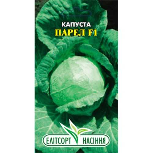 Капуста парел – описание сорта, фото, отзывы
