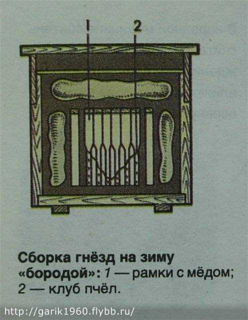 Зимовка пчел: на улице, воле, подготовка к зиме (как зимуют, где зимуют пчелы, что делают?)