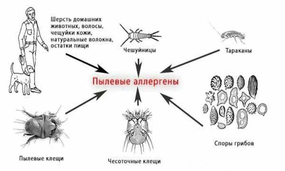 Укус пчелы: чем опасен, что делать, первая помощь, аллергия, опасен ли при беременности