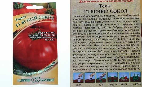 Сорт томата полбиг (f1): фото, отзывы, описание, характеристики.