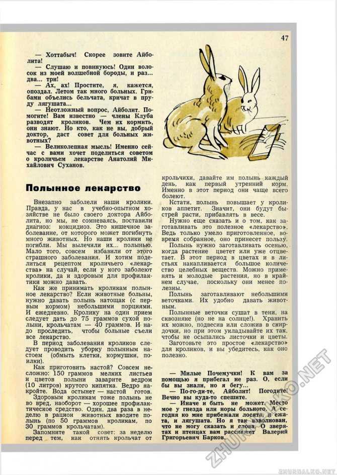 Можно ли давать крапиву кроликам? какую траву можно давать кроликам?
