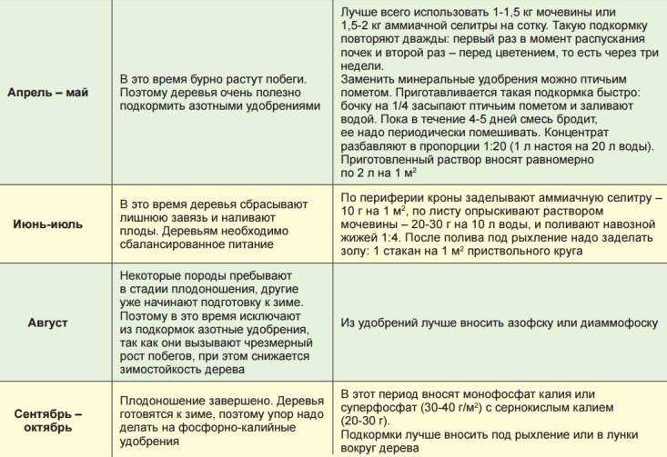 Весенняя подкормка удобрениями плодовых деревьев и ягодных кустарников