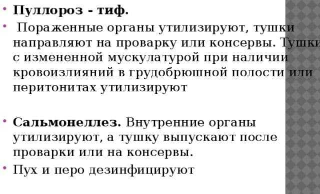 Йодинол для кур-несушек