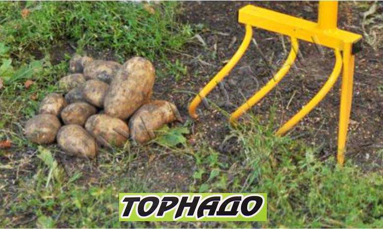 Как сделать картофелекопалку своими руками для мотоблока: видео, чертежи