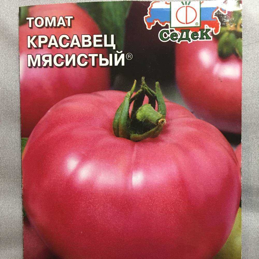 Лучшие сорта томатов для открытого грунта: фото, названия и описания (каталог)