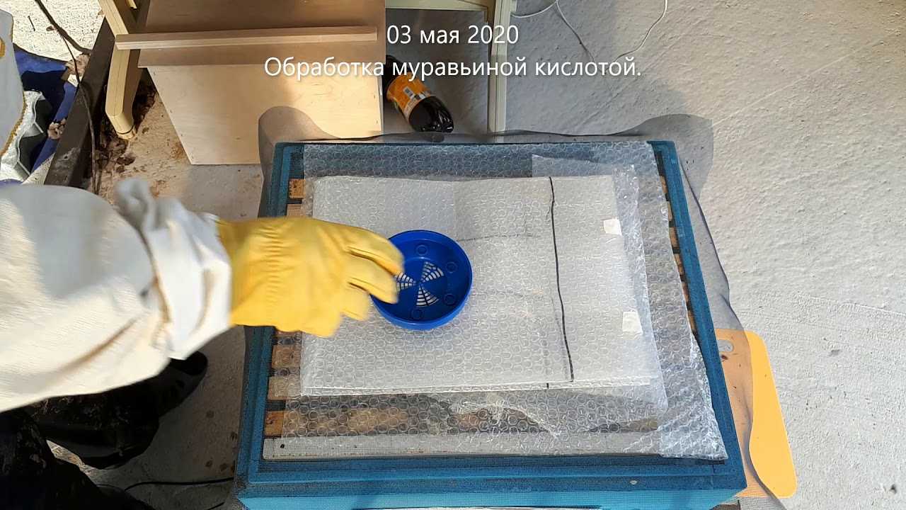 Причины и способы применения муравьиной кислоты в пчеловодстве