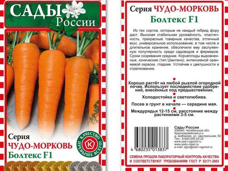 Лучшие и ранние сорта семян моркови для сибири и алтайского края