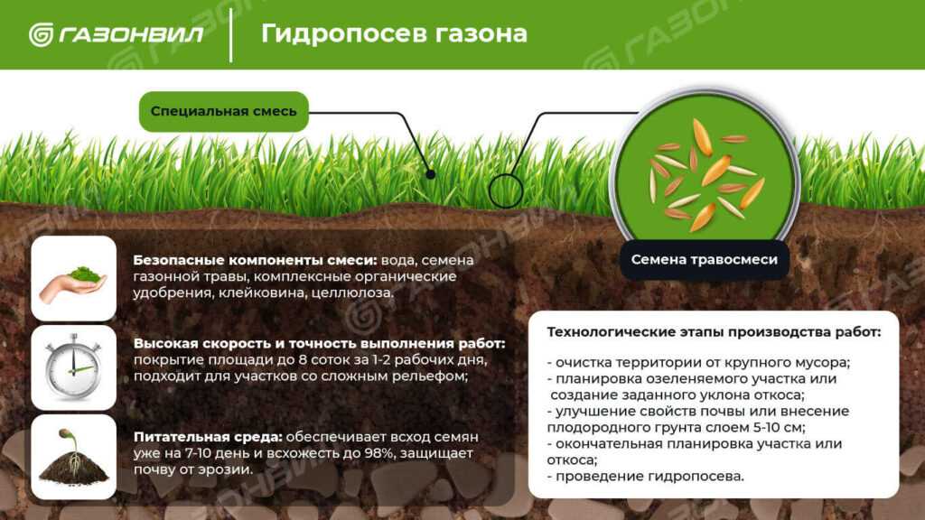Гидропосев газона - услуги по посеву от ландшафтной студии m.art