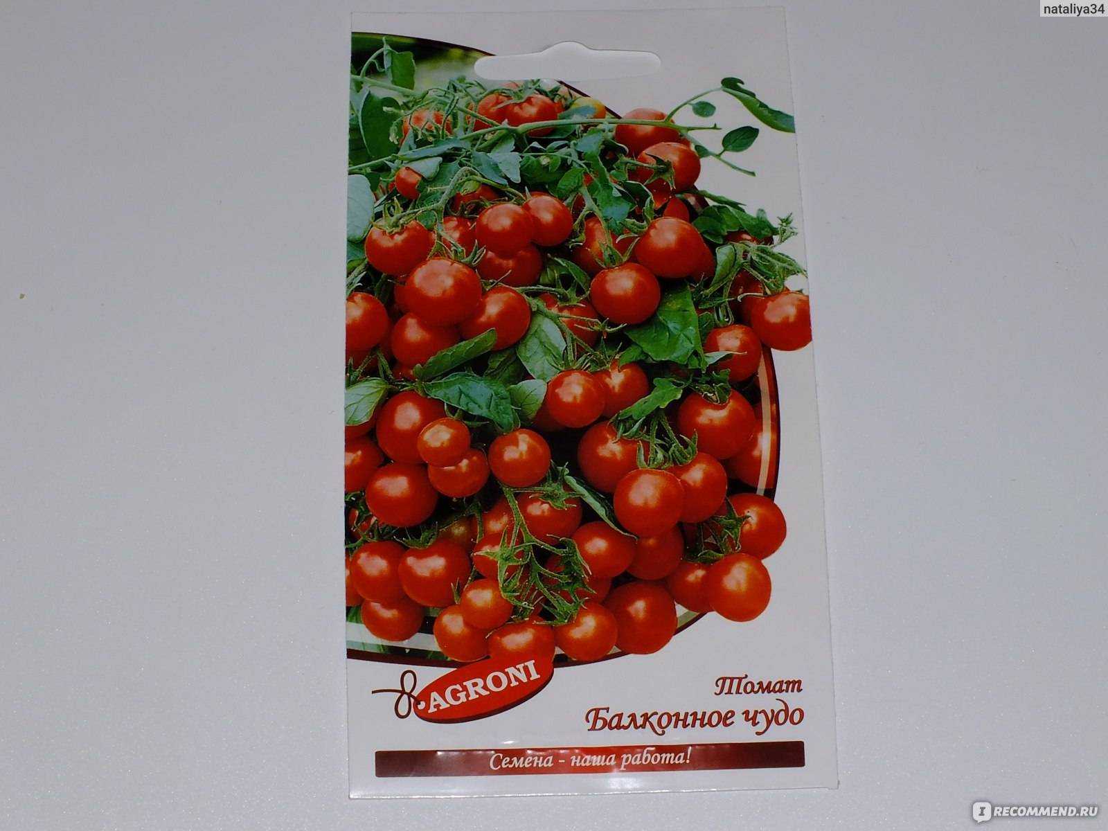 Томат «красная гроздь»: красивый, вкусный и урожайный